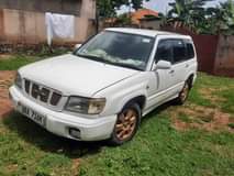 A picture of Forester