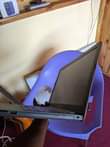 A picture of HP laptop