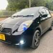 A picture of Vitz