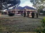 A picture of House for sale at 800m ush at Maya Bulwanyi Masaka