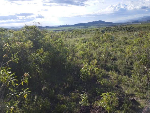 plots gilgil