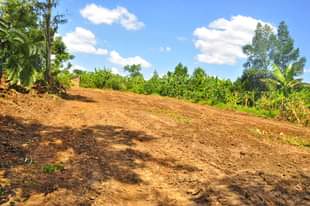 A picture of Plots for sale Namayumba Kyampisi Estate Wakiso District 