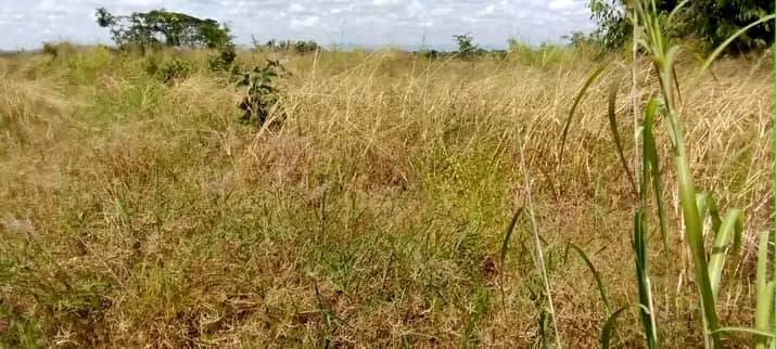land