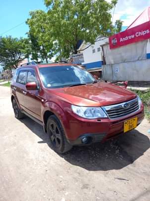 subaru forester