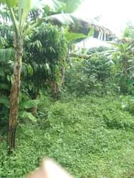 A picture of ANTI MR PROPERTY MANAGEMENT PLOT FOR SALE LOCATED AT KASANJE