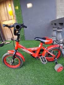 A picture of Baiskl