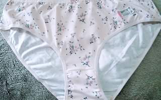 A picture of Knickers