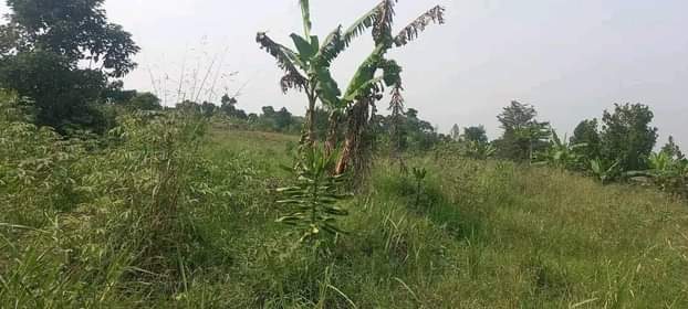 MALAWI H.