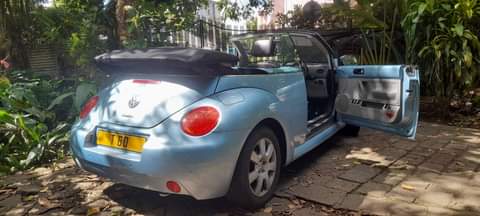 vw beetle