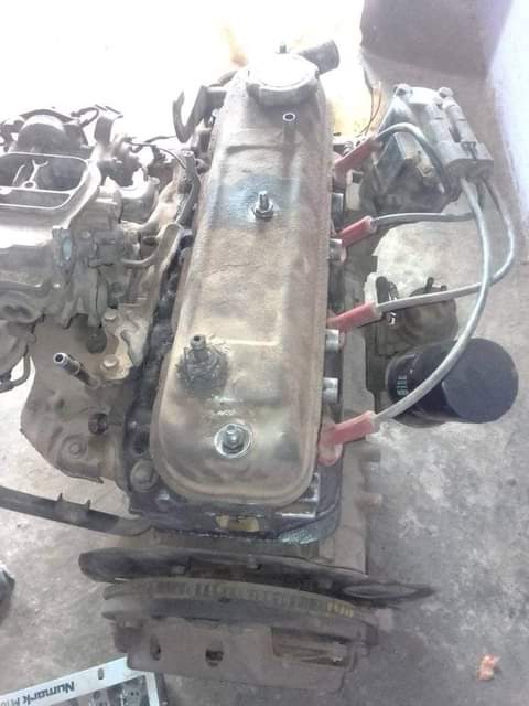 BAKKIES F.