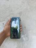 A picture of Oppo A9 2020