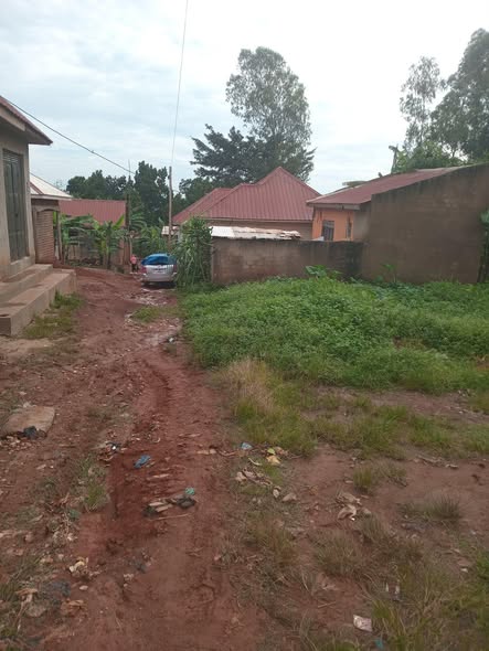 A picture of Quick money plot for sale kigoma nakabugo