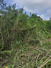 A picture of Shamba linauzwa lipo kiwangwa chalinze pwani
