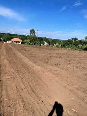 A picture of PLOTS ON SALE ALONG MITYANA ROAD WITH TITLES 50 100FT