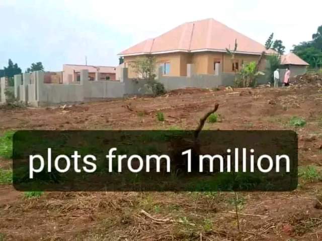 houses matugga