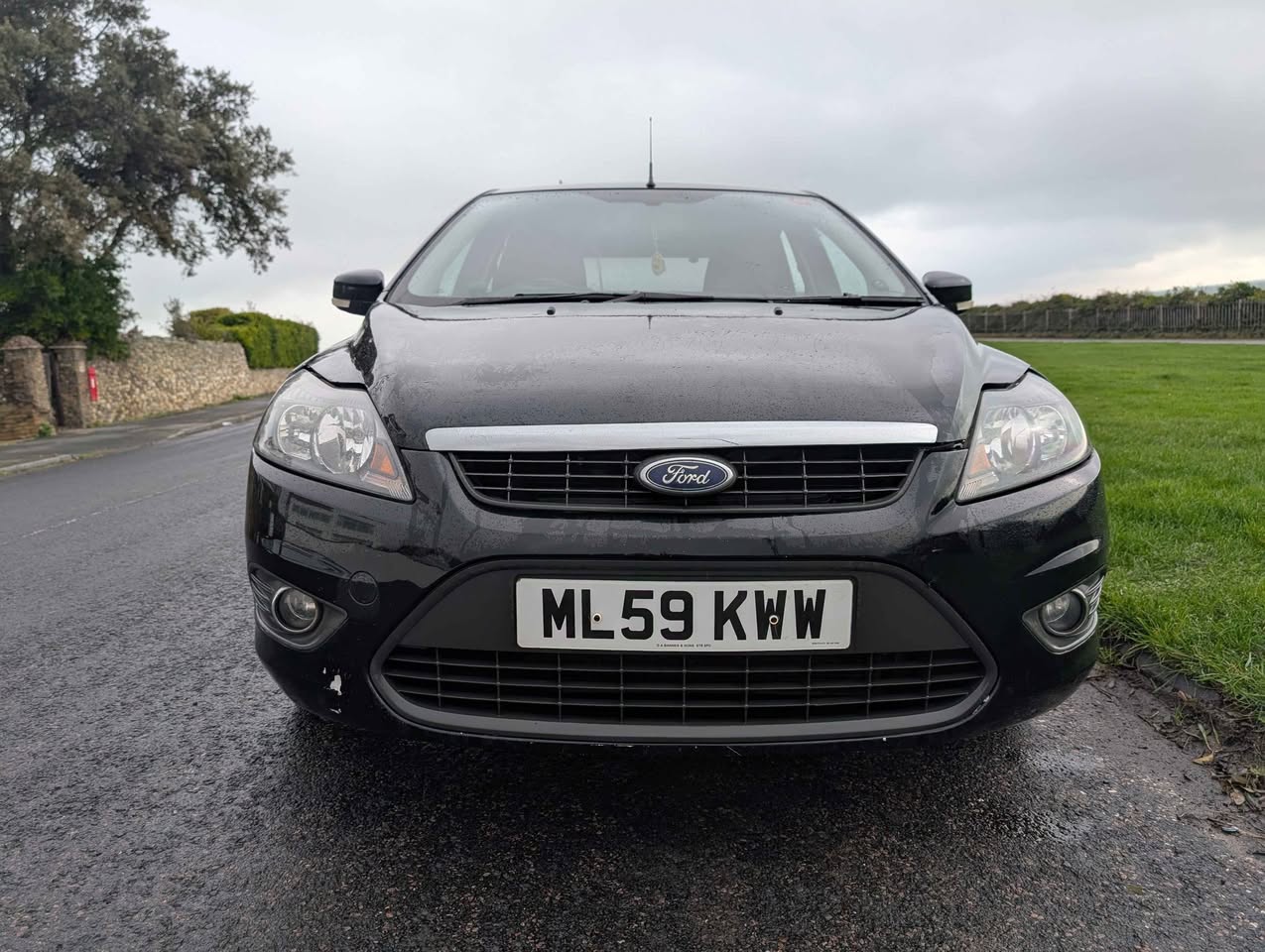 ford zetec