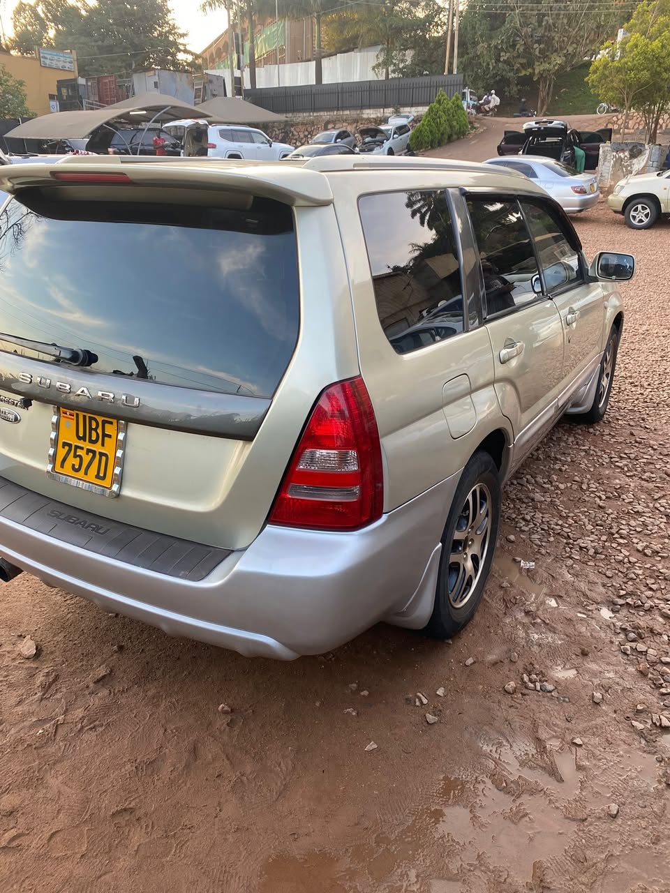 A picture of Subaru Forester