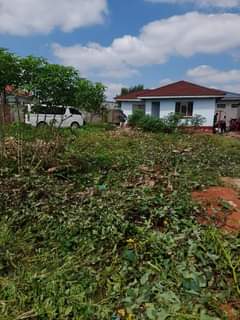 rooms to rent harare