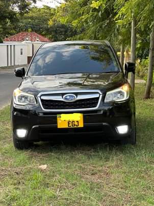 A picture of Subaru Forester new