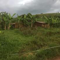 A picture of Land in rurama
