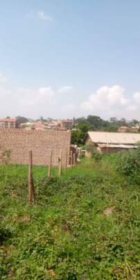 A picture of 0709106274 HOT PLOT ON QUICK SELL 50X100FT