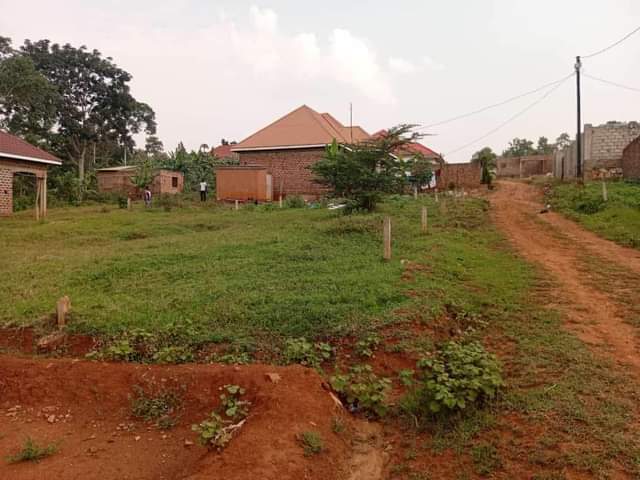 houses matugga