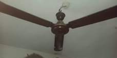 A picture of Ceiling Fan