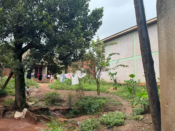 A picture of Kampala plot for sale