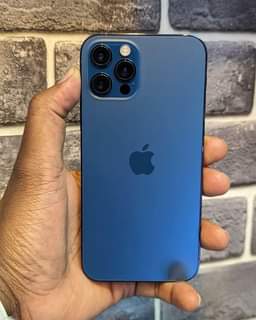 Apple H.