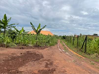 A picture of Plot at 15m in busika