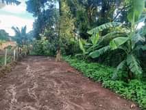 A picture of Land for sale