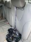 A picture of 2010 Toyota camry