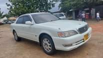 A picture of Mark 11 Cresta