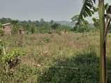 A picture of PLOTS WITH READY LAND TITLES kyapa ku meza IS UP