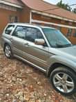 A picture of Forester