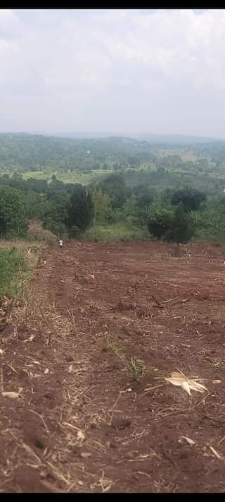 A picture of Plots for sale