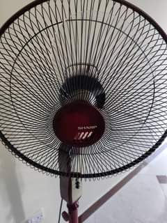 A picture of Standing pedestabl fan Sharp brand