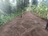 A picture of Land for sale