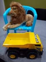 Satish R.