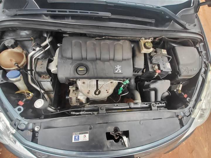 A picture of 2008 Volkswagen pegoat