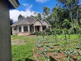 A picture of Huse for sell