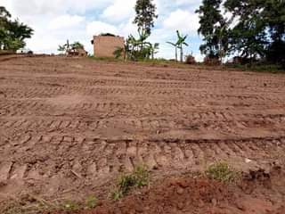 A picture of TITLED RESIDENTIAL PLOTS FOR SALE LOCATED WAKISO BULONDO 