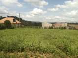 A picture of Get your own plot today New site opened located matugga