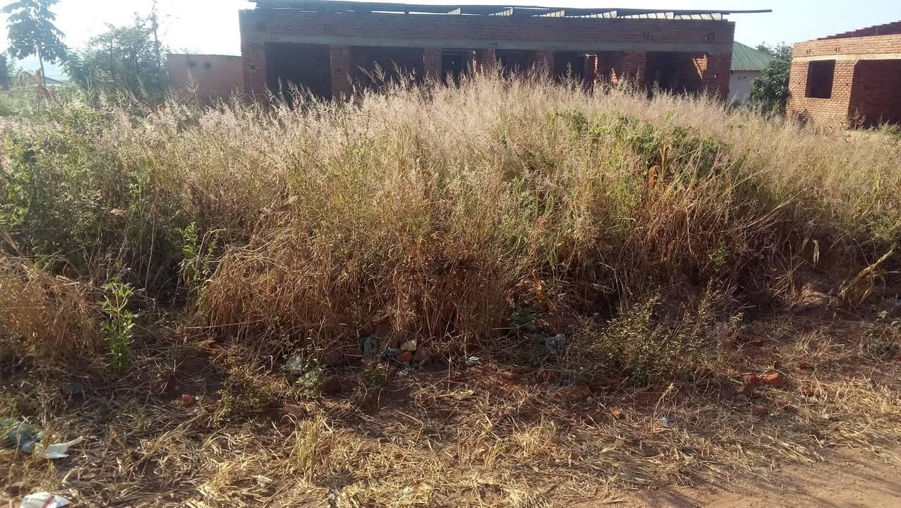 land