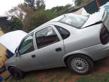 Mandelea L.