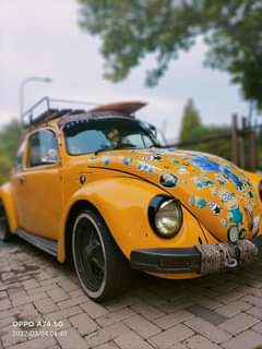 1975 Cars