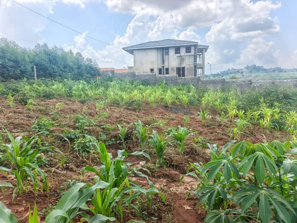 A picture of 20 Decimals for sale at Seeta Bajjo New tarmac titled