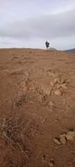A picture of ENEO LA MWINUKO WA MLIMA LINAUZWA