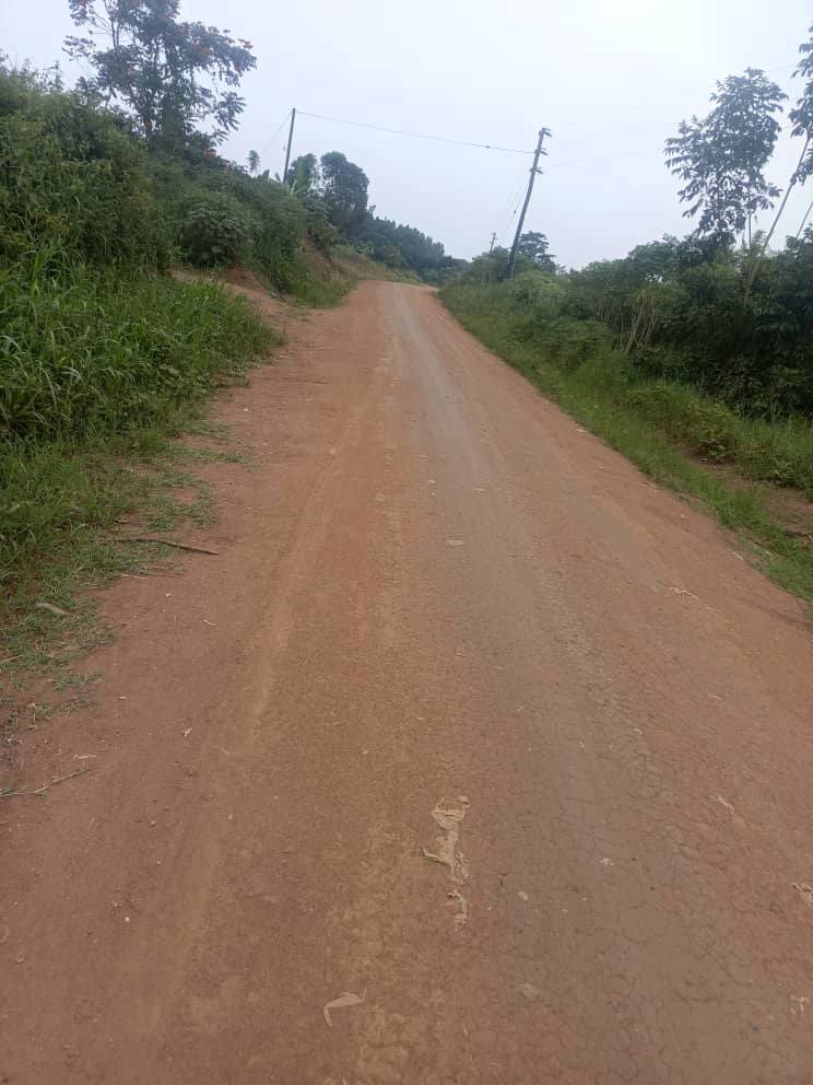 A picture of 5 fertile acres of land on sale all at 125m