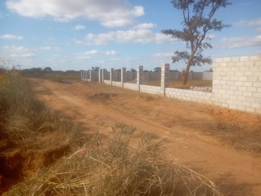 zambia plots